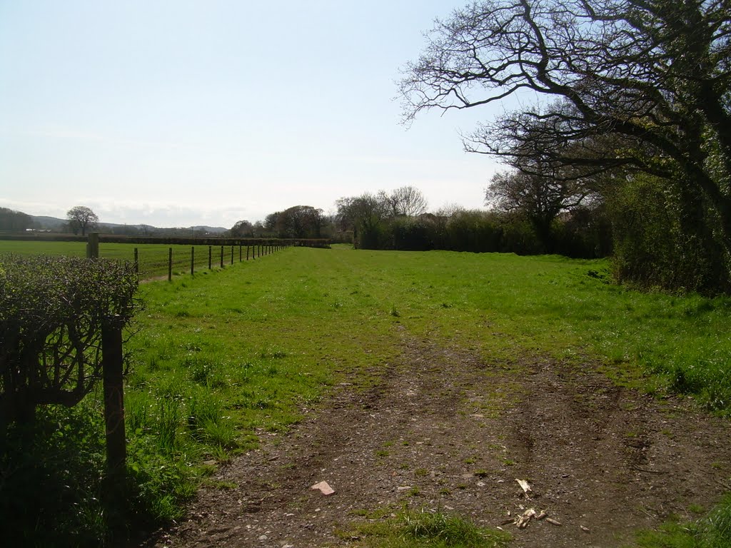 Backwell fields on the edge of Nailsea by Alex Thorn