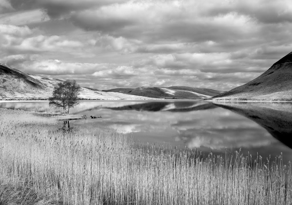 St. Mary's Loch, Scottish Borders by welshio