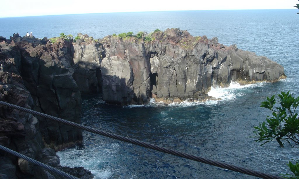 Jogasaki Wire Bridge - Japan by P M Santana