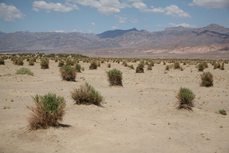 Death Valley National Park by www.scenicphotograph…