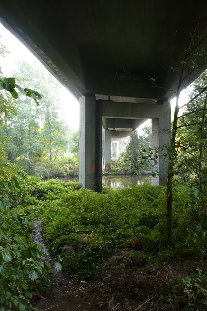 Unter der Freidrich-Ebert-Brücke by mp-lueneburg