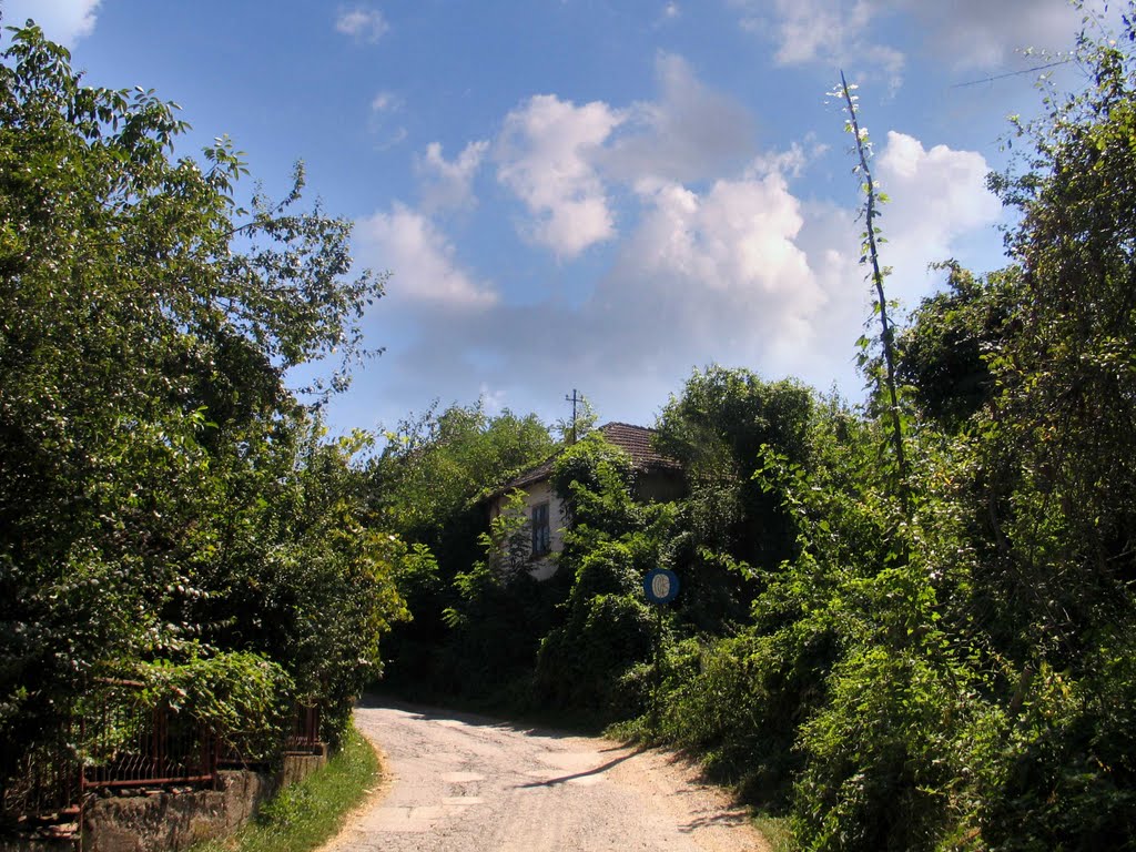 Zimi u Ćuštici obavezno sa zimskom opremom, zakon očuvane prirode by dragansremac