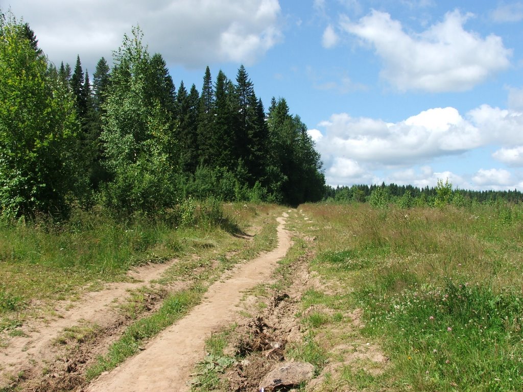 Полевая дорога / Field road by Andrew Markaryan