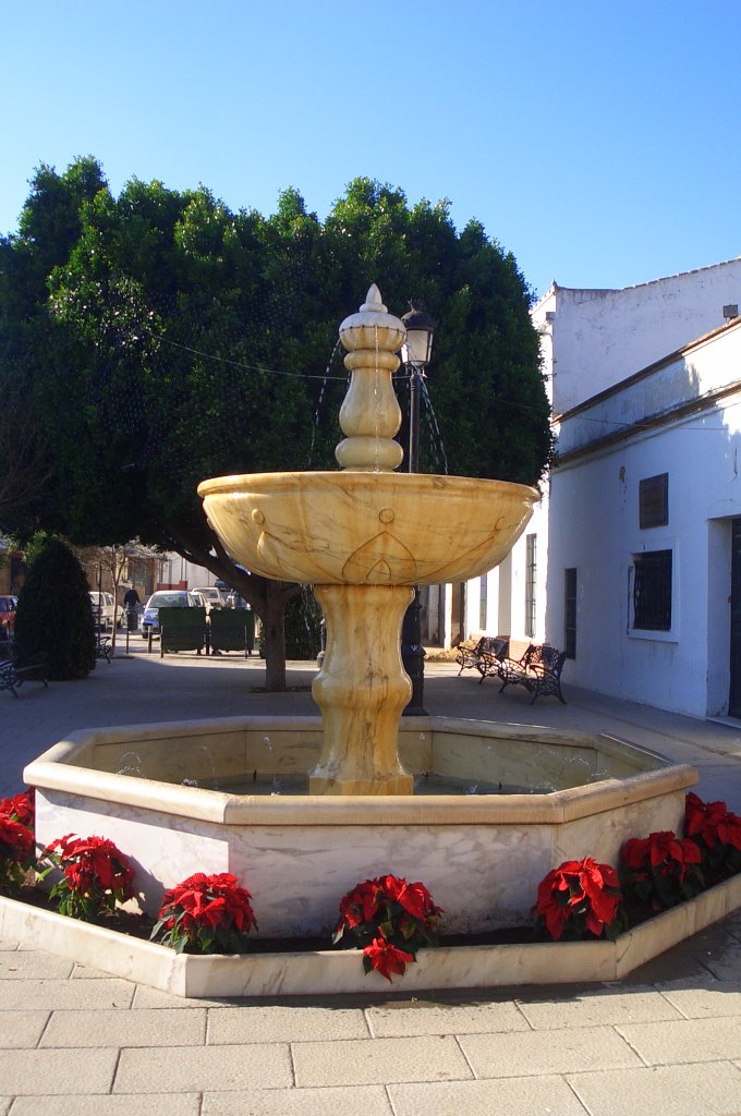 Fuente o Pila, Plaza Avdor. Fco. Medina by rafael navarro mateos