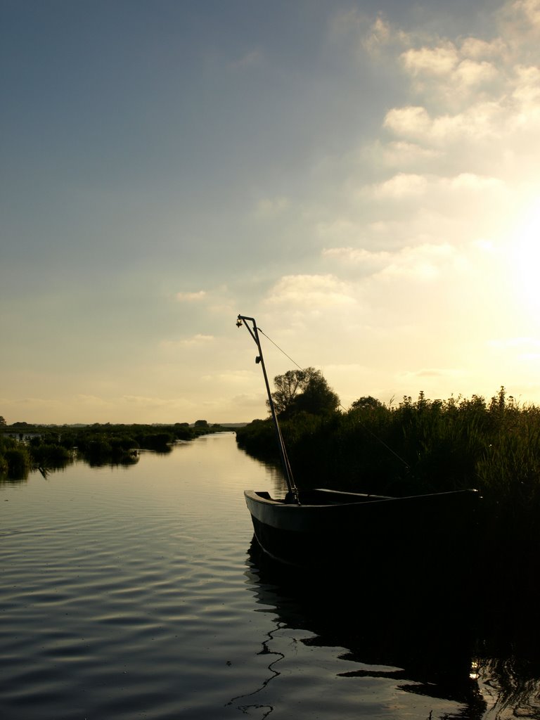 Barque en Grande brière by Robin GERVOT