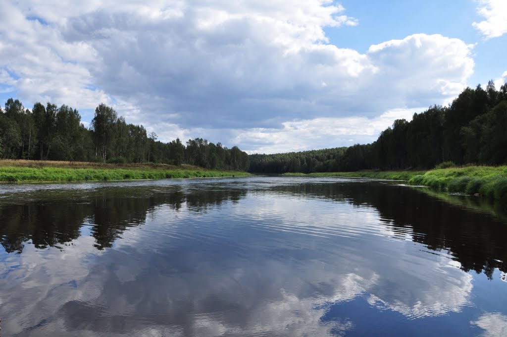 Volga back-water by A.Elkin