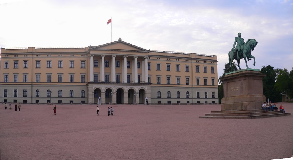 Oslo (palazzo reale) by Alessandro Cortegian…