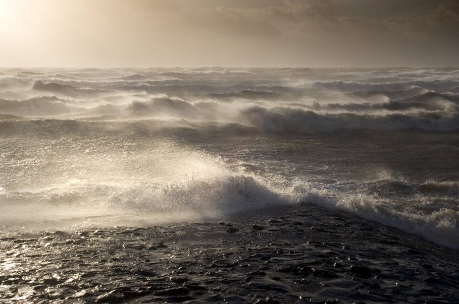 Irvine Beach Jan 07 by SeanP