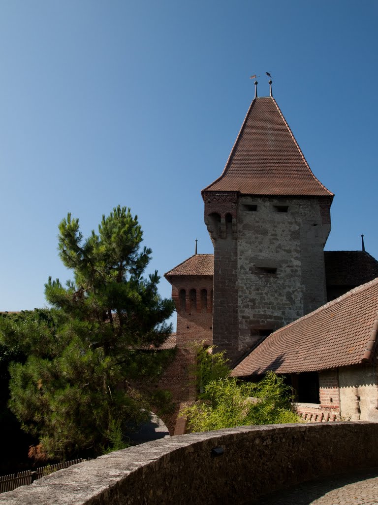 Château, Estavayer le Lac by Harri Hofer