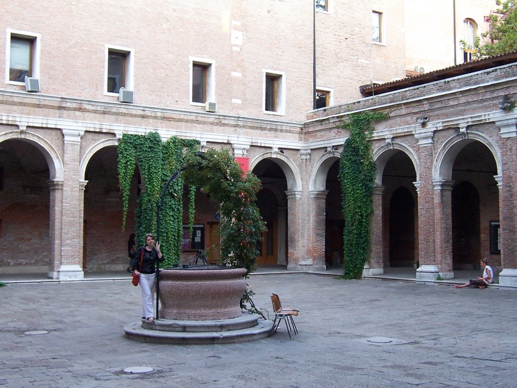 Internal Courtyard at IUAV with old well by giulio fecchio