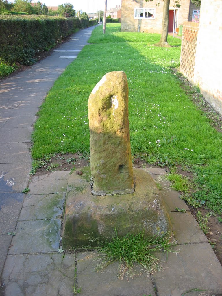 Leper Stone Guisborough by DBarlow