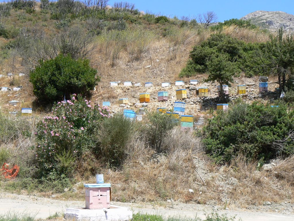 Mani region: road to Diros caves. Beehives are everywhere. by VesnaL