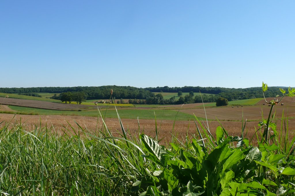 Paysage Villeneuve d'Aval by toonselinos