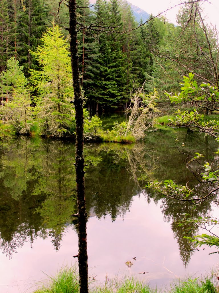 Winkelbergsee by ∞ gf ∞