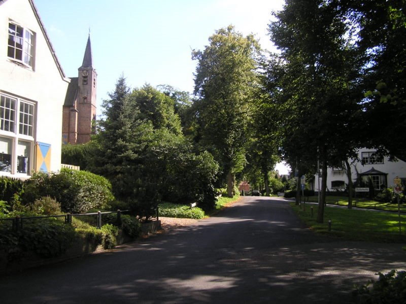 De Koninginnelaan in Heelsum: een stukje geschiedenis by Joe Cost Budde