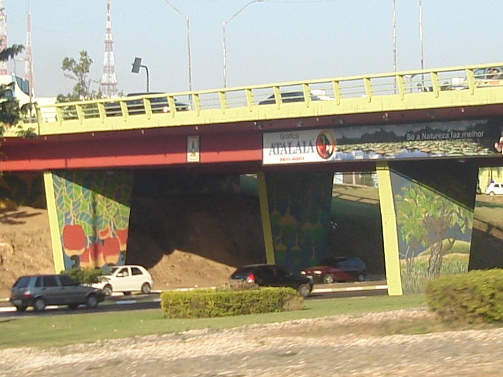 Pintura no viaduto by frank fraporti