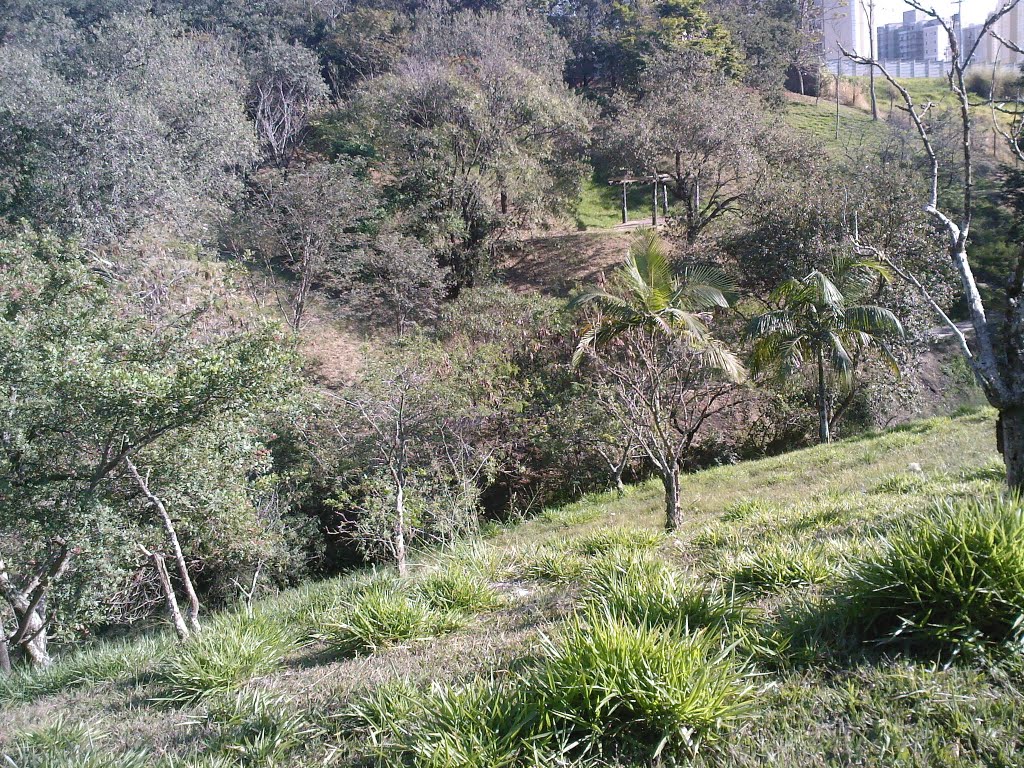 VISTA DA MATA DO BOSQUE -INVERNO by JRCONCON