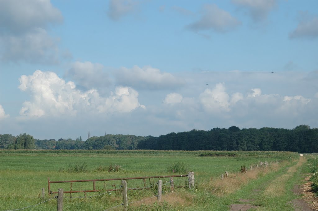 Oirbroekdreef, Schorvert, Haaren, Noord-Brabant, Nederland by Scott Nova