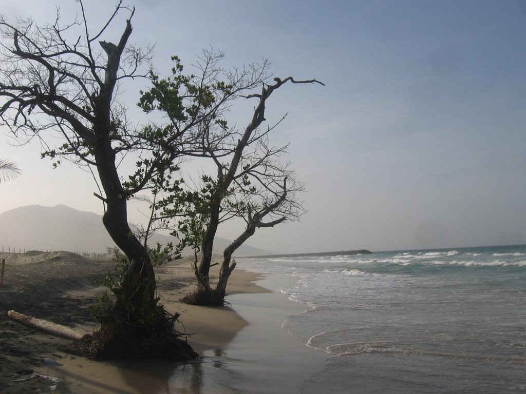 'La Playa' at Lagunamar by aminiminifofo