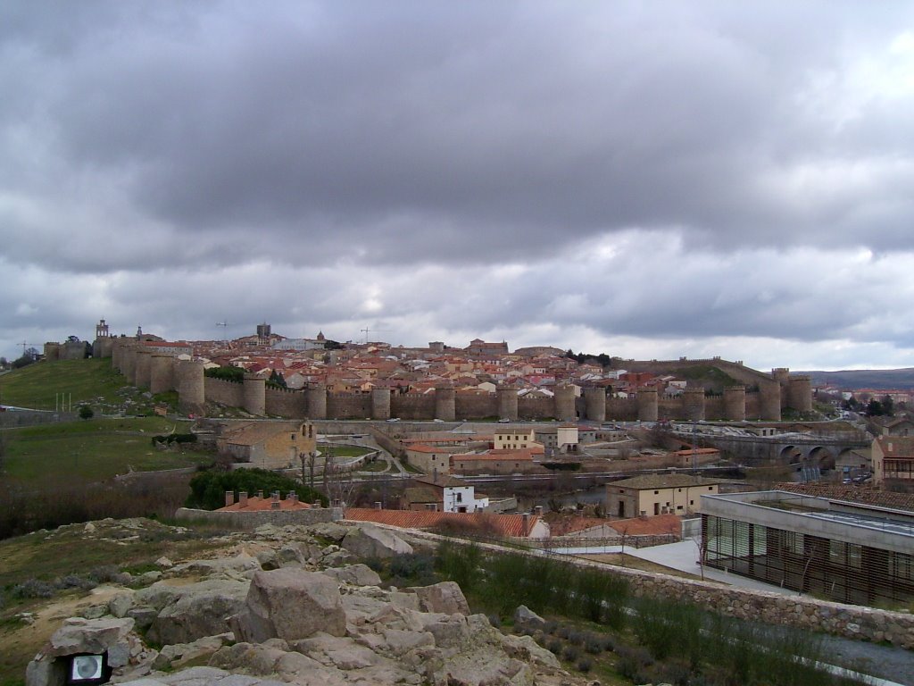 Vista de Avila en invierno by Trichita