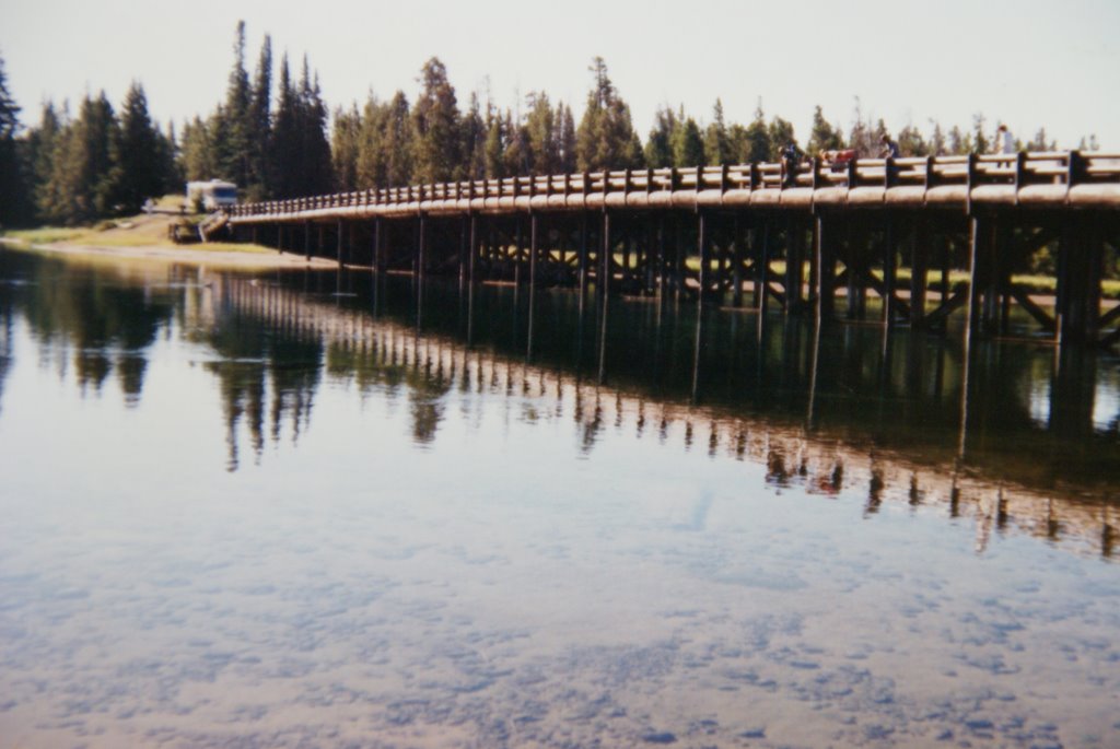 Wooden bridge across the nature by johnmancc