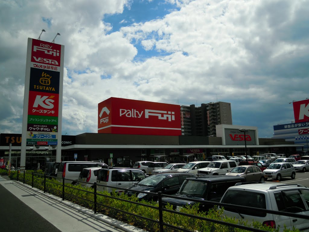 Palty FUJI by DVMG