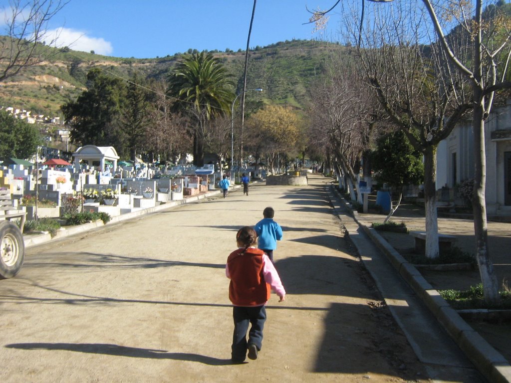 Cementerio de Melipilla by agalleguillos