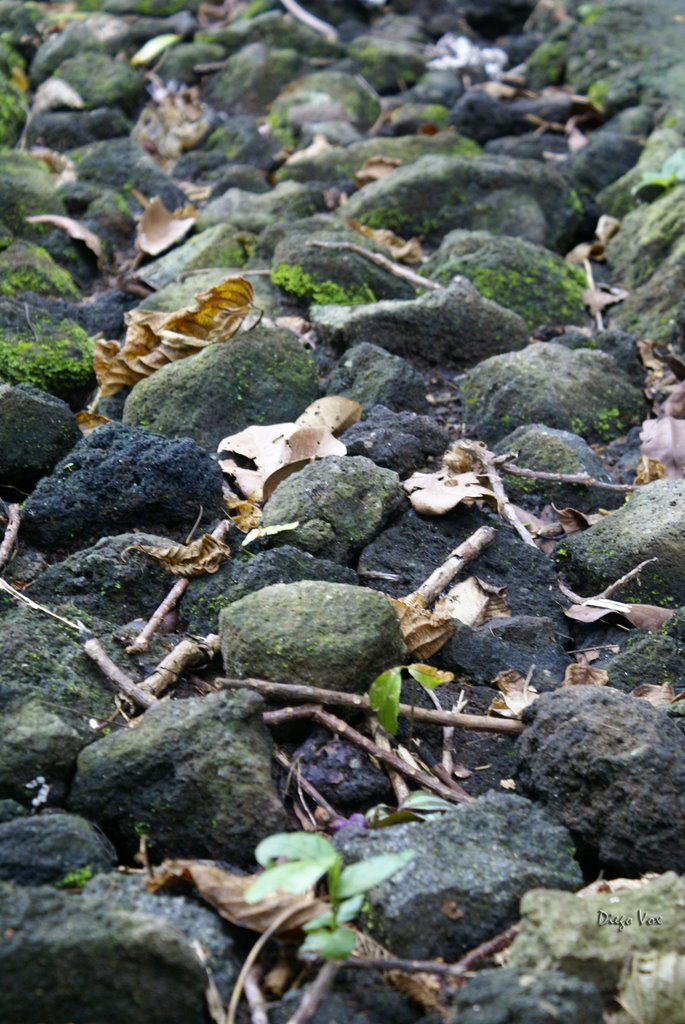 PIEGRAS OJO DE AGUA - OMETEPE - NICARAGUA by diego vox