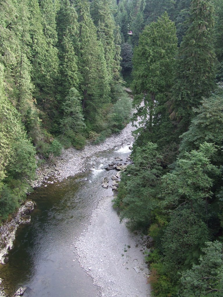 View North from Capilano Bridge by Bret Marr