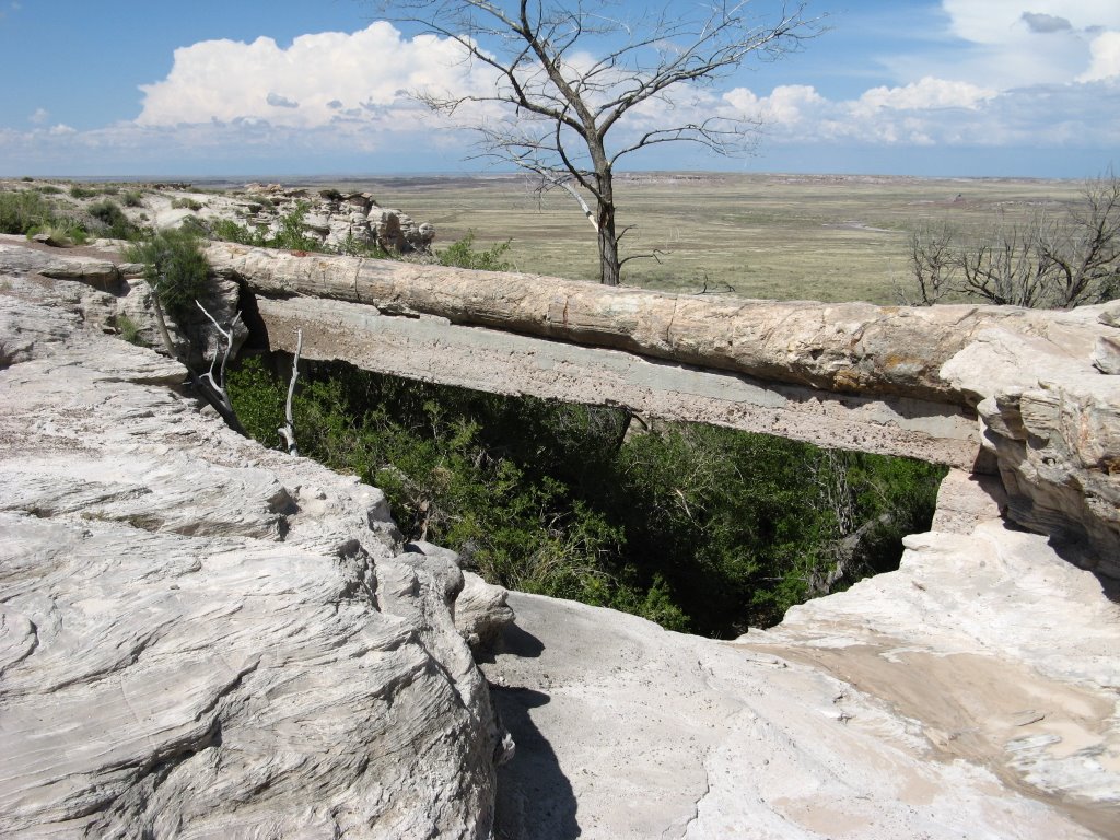 Agate Bridge-Petrified Forest National Park by hakkun