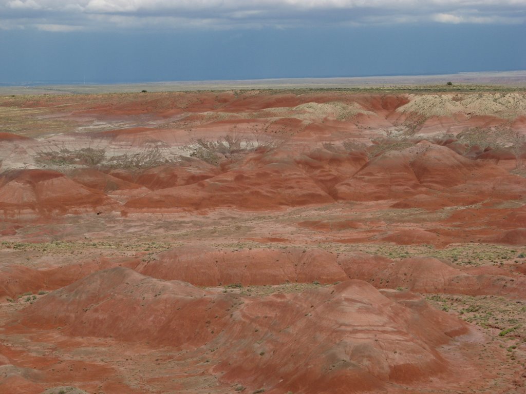 Tiponi Point-Petrified Forest National Park by hakkun