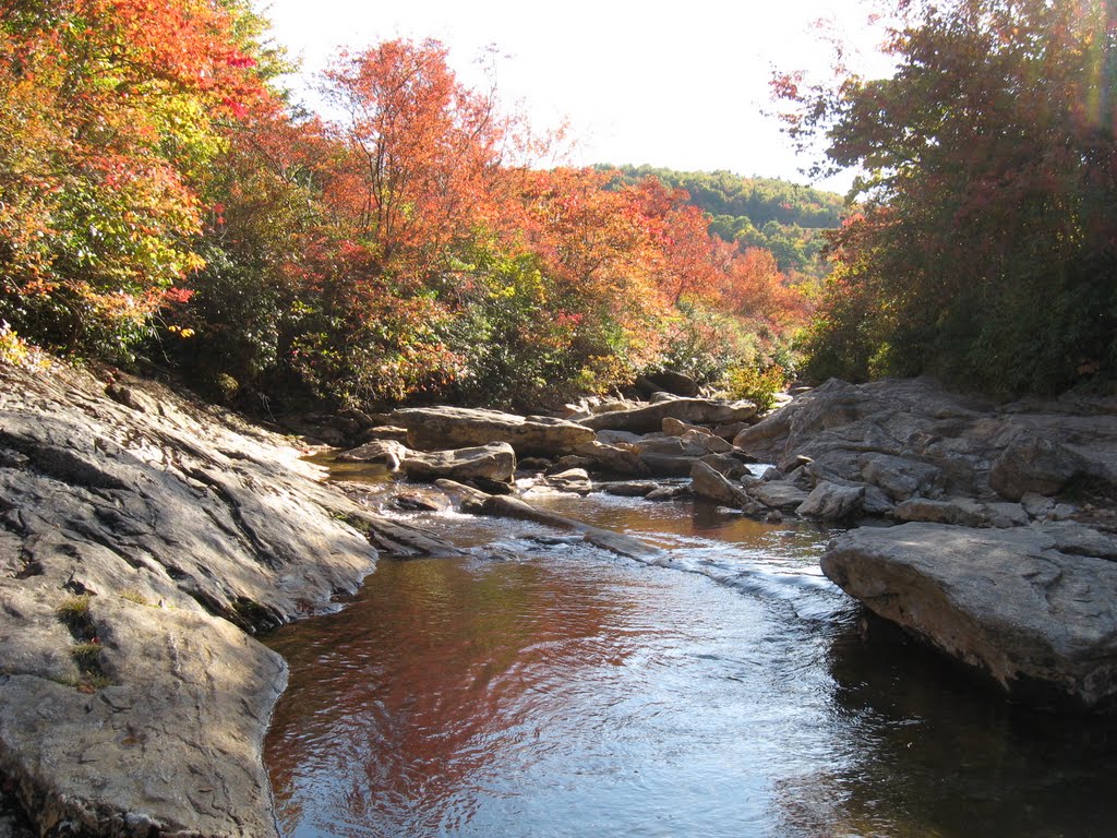 North Carolina mountain stream by waltbud