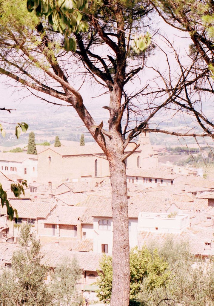 San Gimignano by © micheleloreto