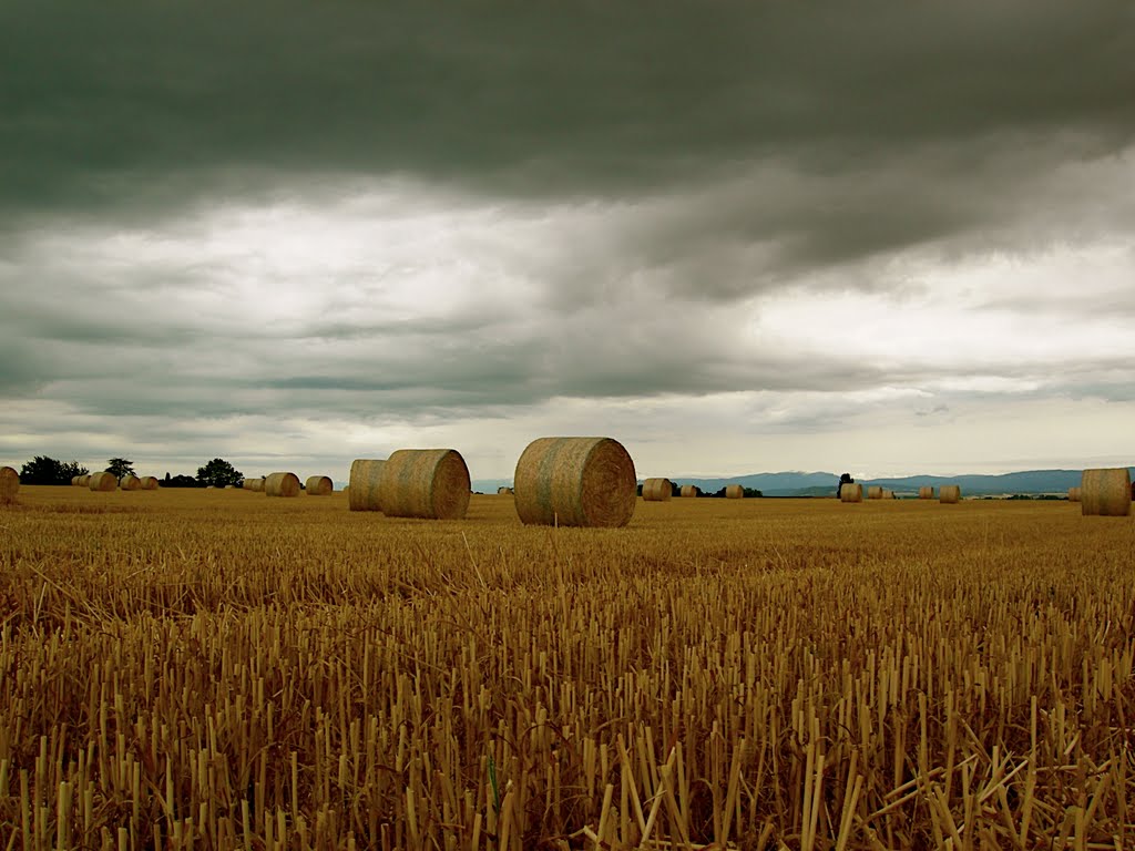 Ecublens, Switzerland by ethelbustamante