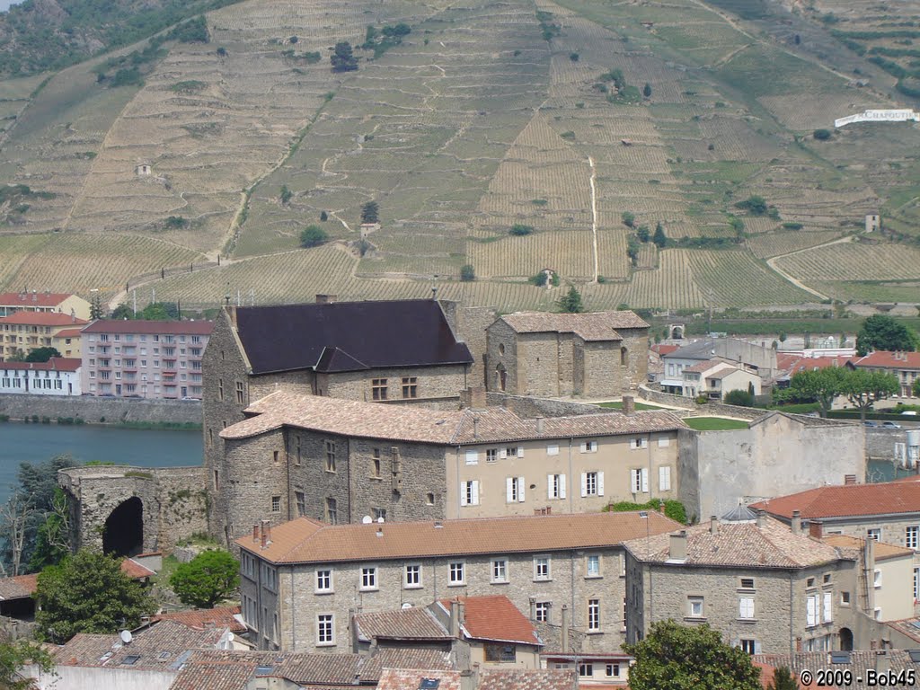 Tournon sur Rhône - Chateau-musée by Bob45