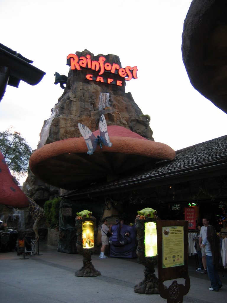 Rainforest Cafe Downtown Disney by Daniel Carneiro