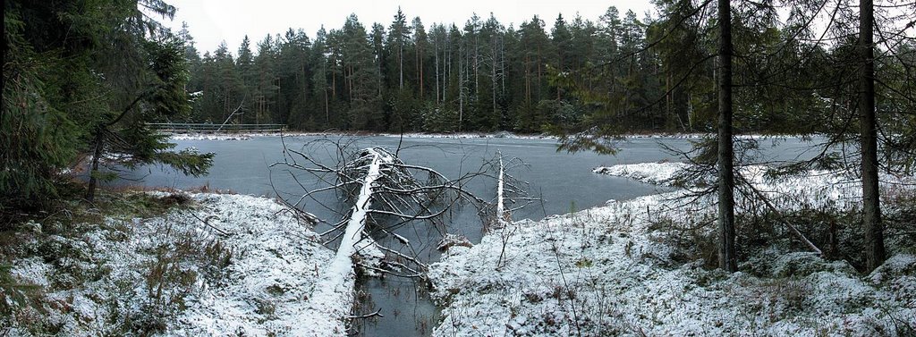 Suchar III Lake; Wigry National Park; 2005-12-03 by Maciej Romanski