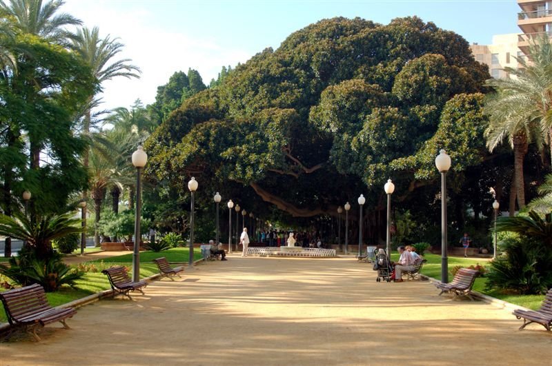 Parque de Canalejas, Alicante (Foto_Seb) by © www.fotoseb.es - Sebastien Pigneur Jans