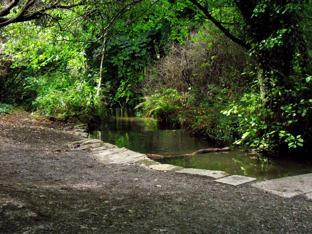 Tehidy Country Park,Nr Camborne Cornwall by Andrew(ollie)Johnson