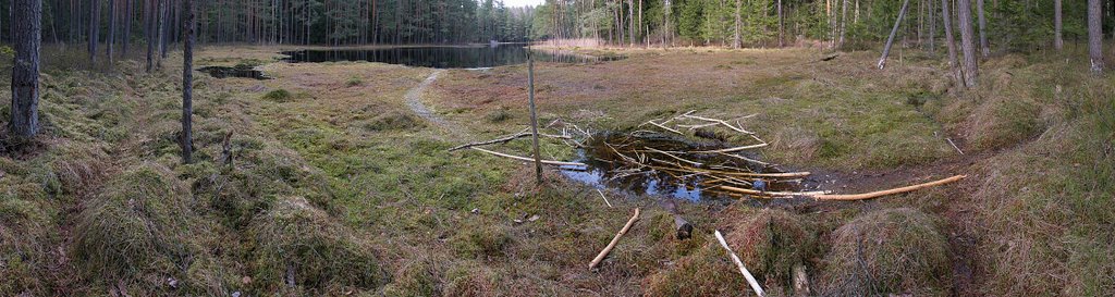 Suchar IV Lake; Wigry National Park; 2005-04-23 by Maciej Romanski