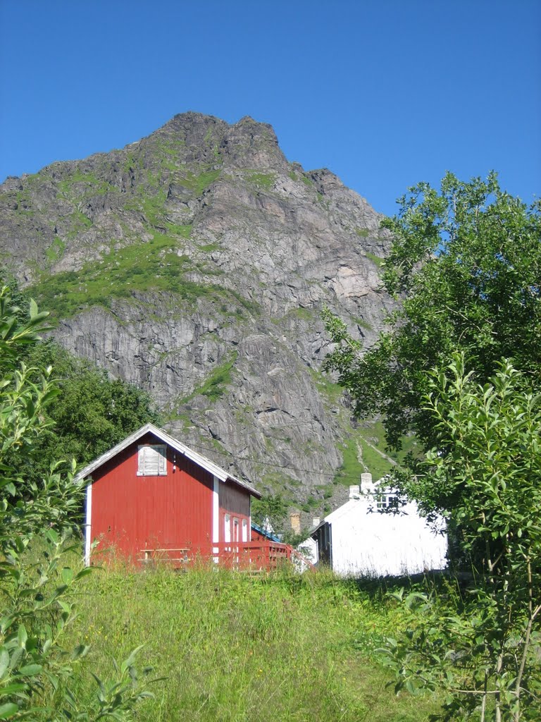 Living in Lofoten by Marianne