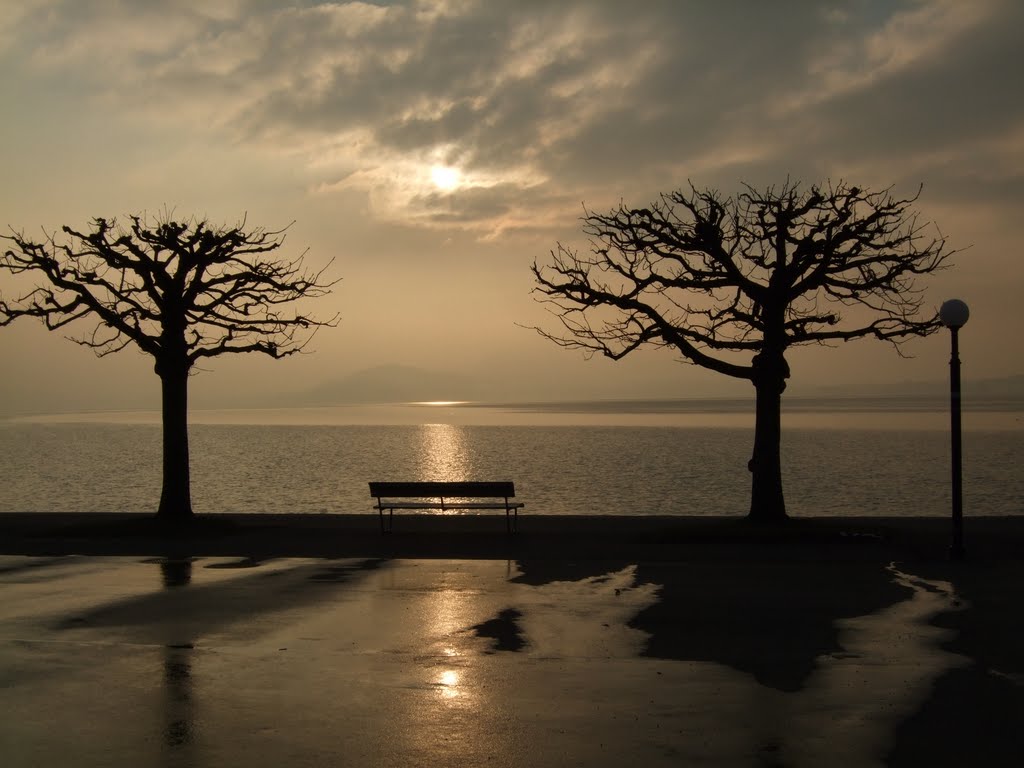 Zugersee - Lake Zug sunset by Angelabinu