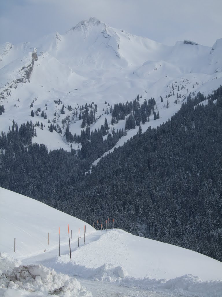 Mt. Brisen 2404 m from Niederrickenbach NW 1156 m by Angelabinu