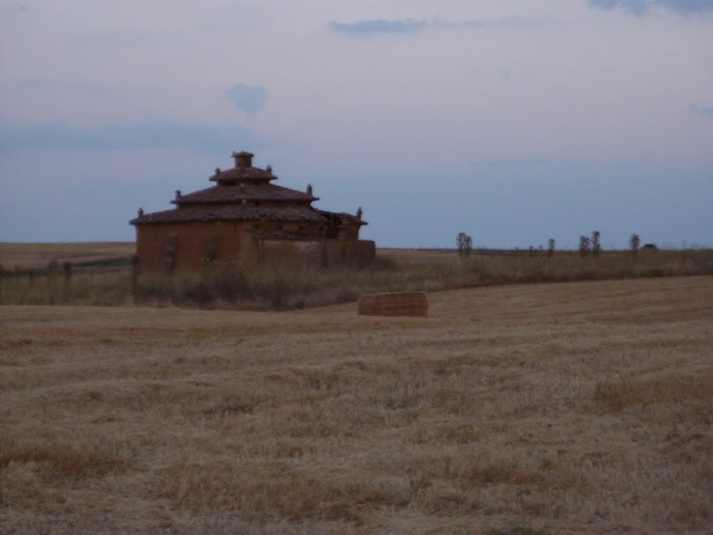 Palomar en Cerecinos de Campos by libanez