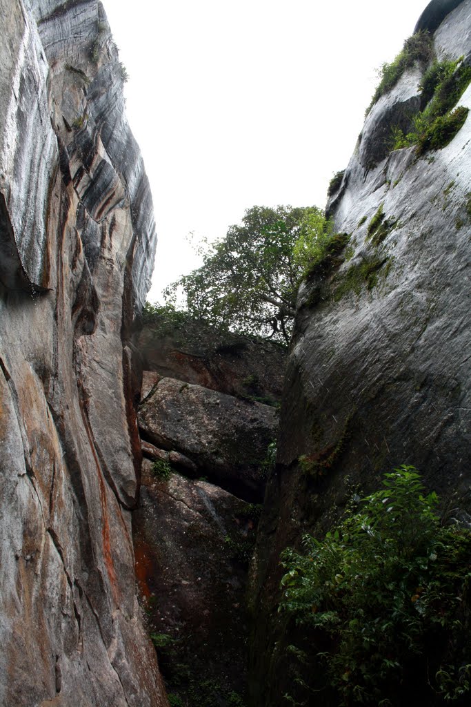 Eddakkal Caves -2 by Bappaditya Roy