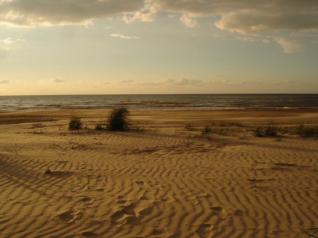 Beach by Dmitrijs Purgalvis