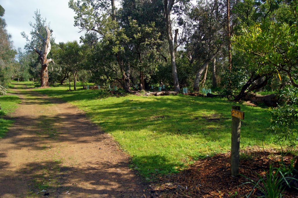 Balnarring Beach Foreshore Camping Reserve (2010). These camping sites are set on grasslands, among indigenous plantings and accessed by gravel roads by Muzza from McCrae