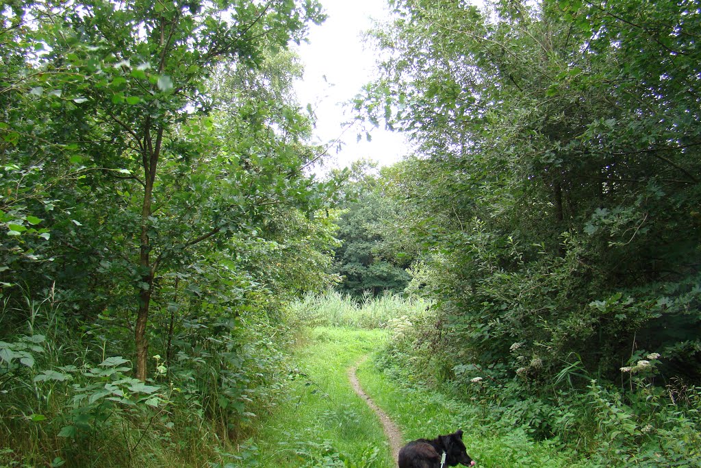 Søgård Skov by papkassen