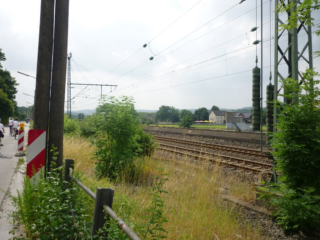 Ruhrtalbahn Richtung Hattingen (Bochum-Dahlhausen) / 4.07.2010 by Iceman93 / NO VIEWS!!!