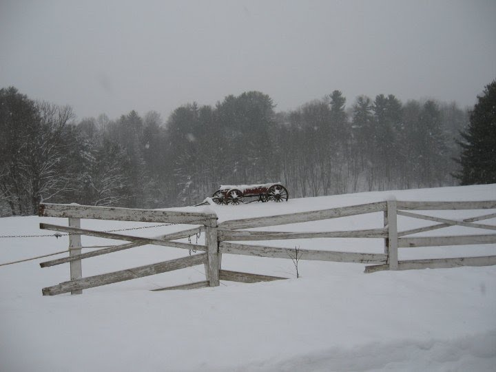 Wagon on a snowy day by Doug Lilly